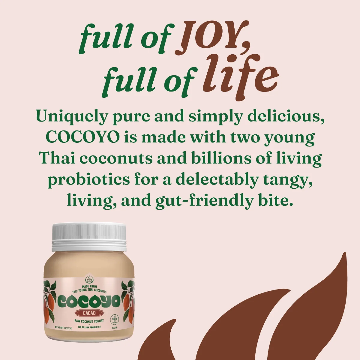 Cacao - Image 4