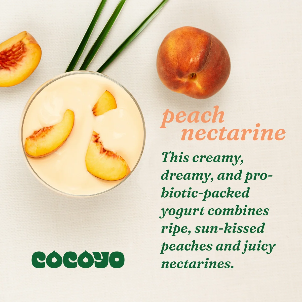 Peach Nectarine - Image 6