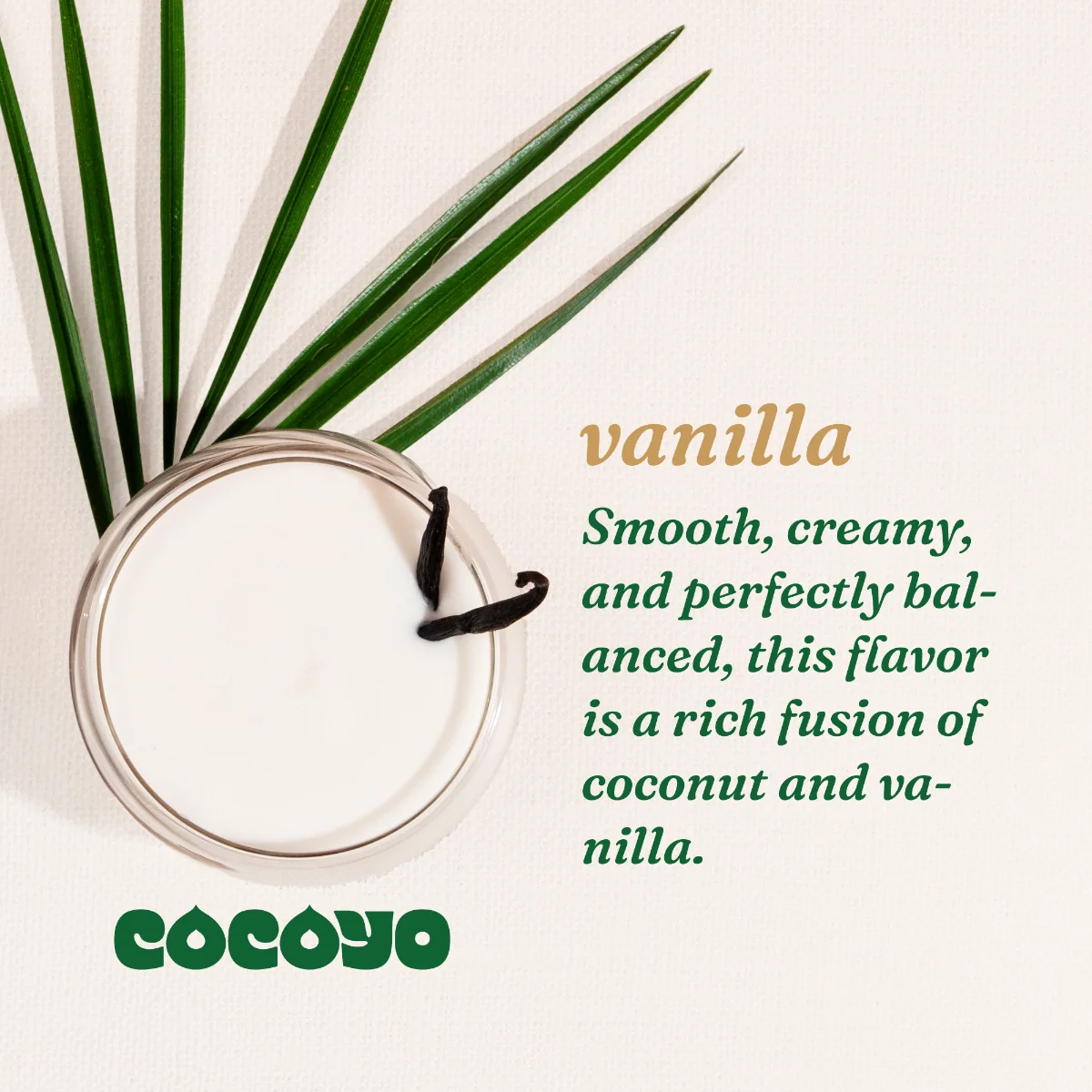 Vanilla - Image 6